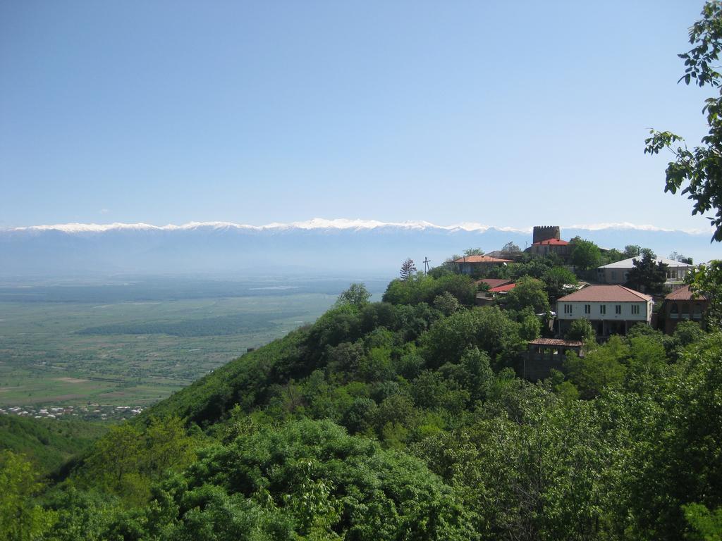 Maya Guest House Sighnaghi Bagian luar foto
